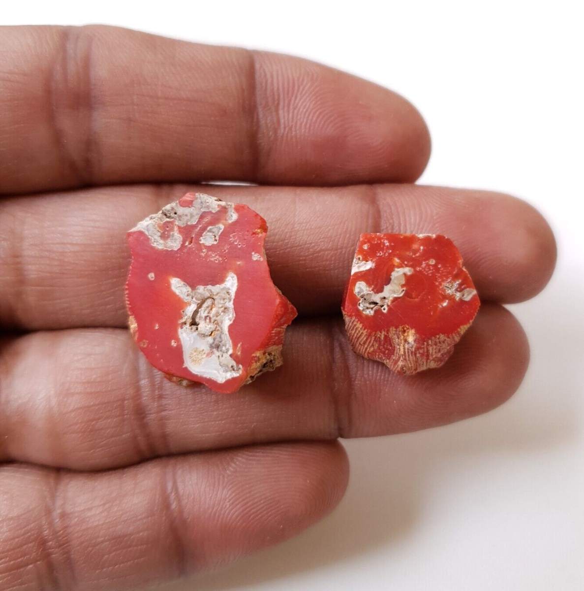 Natural Italy Coral Undyed Mediterranean Red Coral Rough Untreated