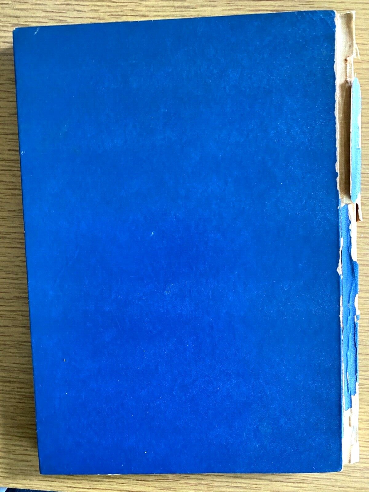 Bild 11 von 11