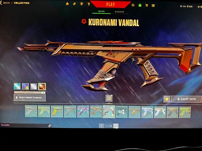 valorant account d2 mehrere skins siehe Bilder 