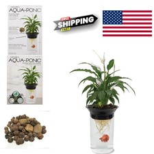 5 Gallon Betta Fish Tank with Hydroponic Planter Lightweight and Stylish