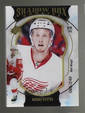 2016-17 SPx Shadow Box Rookies 65/249 Anthony Mantha #53 z3a