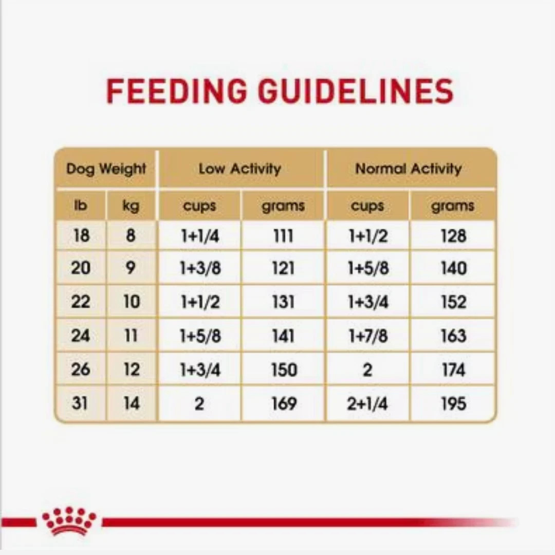 Royal Canin French Bulldog Dry Food - 17 Pounds
