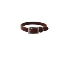 Latigo Town Collar for Dogs - 6 Sizes - full top grain leather Durability