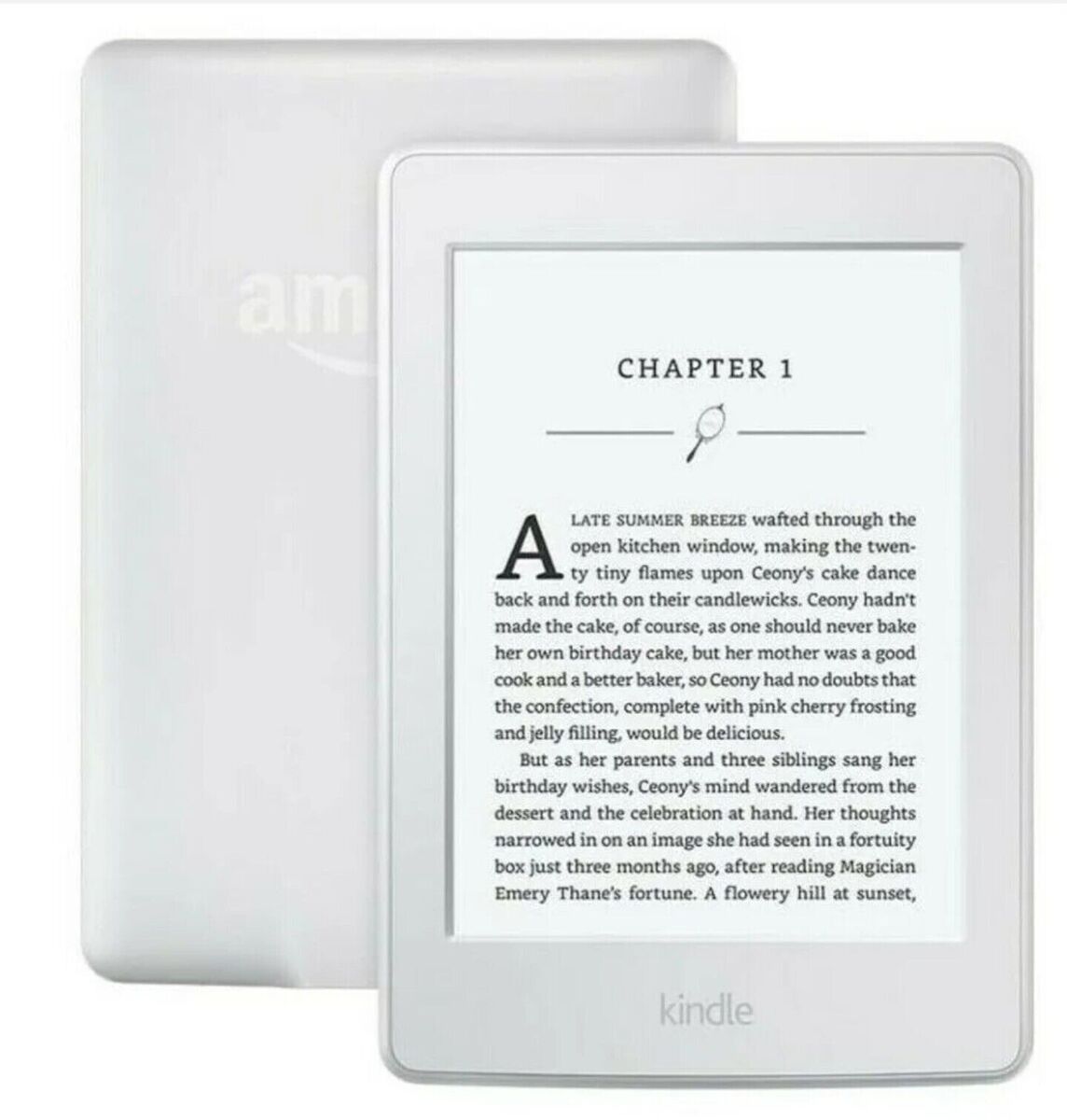 Reading Kindle Books on a Kindle ereader