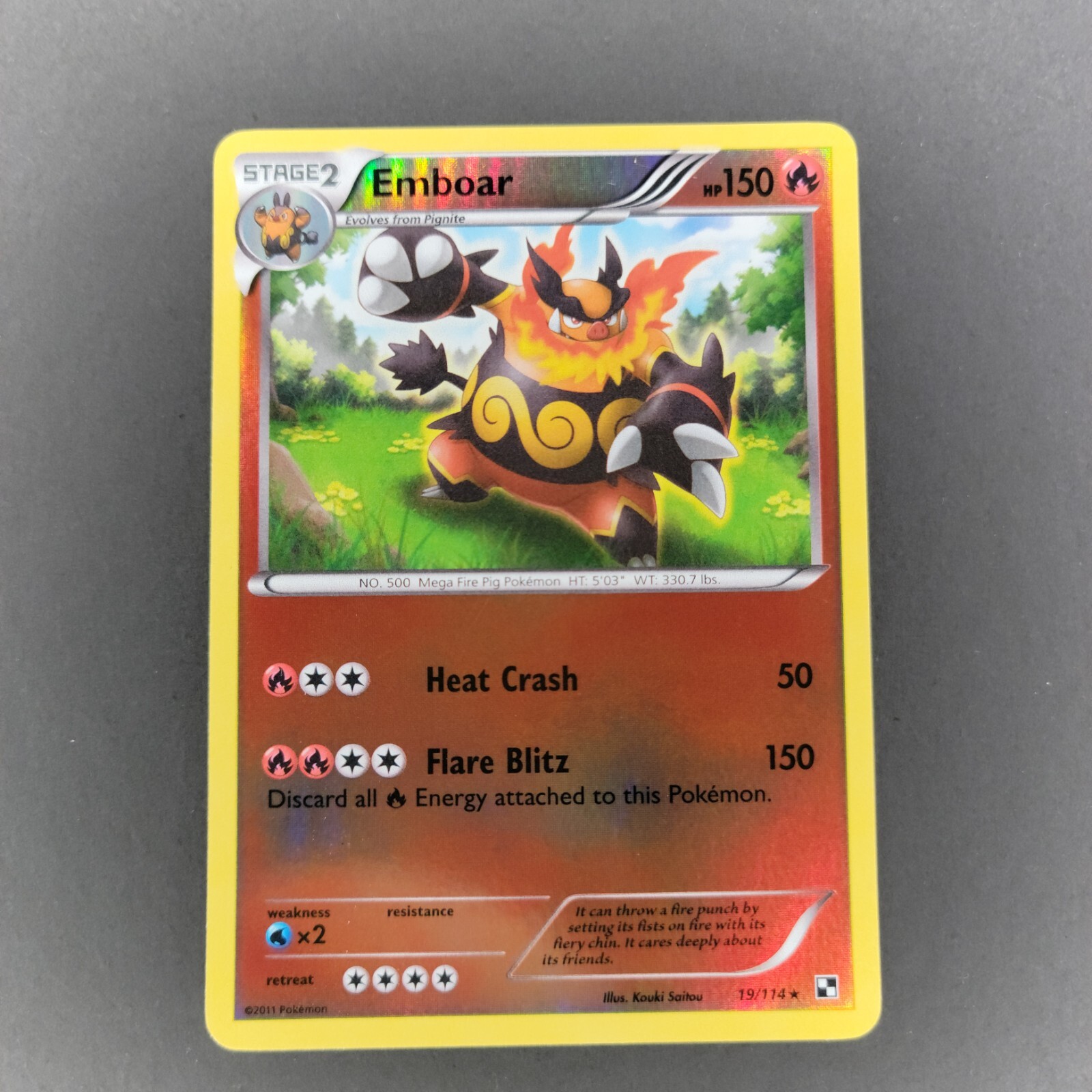 Emboar - Black & White 19/114 - Rare - Reverse Holo - NM - Pokemon TCG
