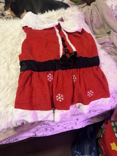 Holiday Tails Mrs. Santa Paws Dog Costume S L Dress Up Holiday