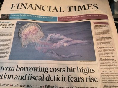 The Financial Times Wednesday August 19 2026