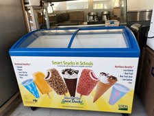 Commercial 49.6" 12.7Cu.Ft  2 Sliding Glass Door Ice Cream Chest Freezer Display