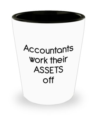 Accounting Pun Shot Glasses - Gifts for Accountants Work Their Assets off 