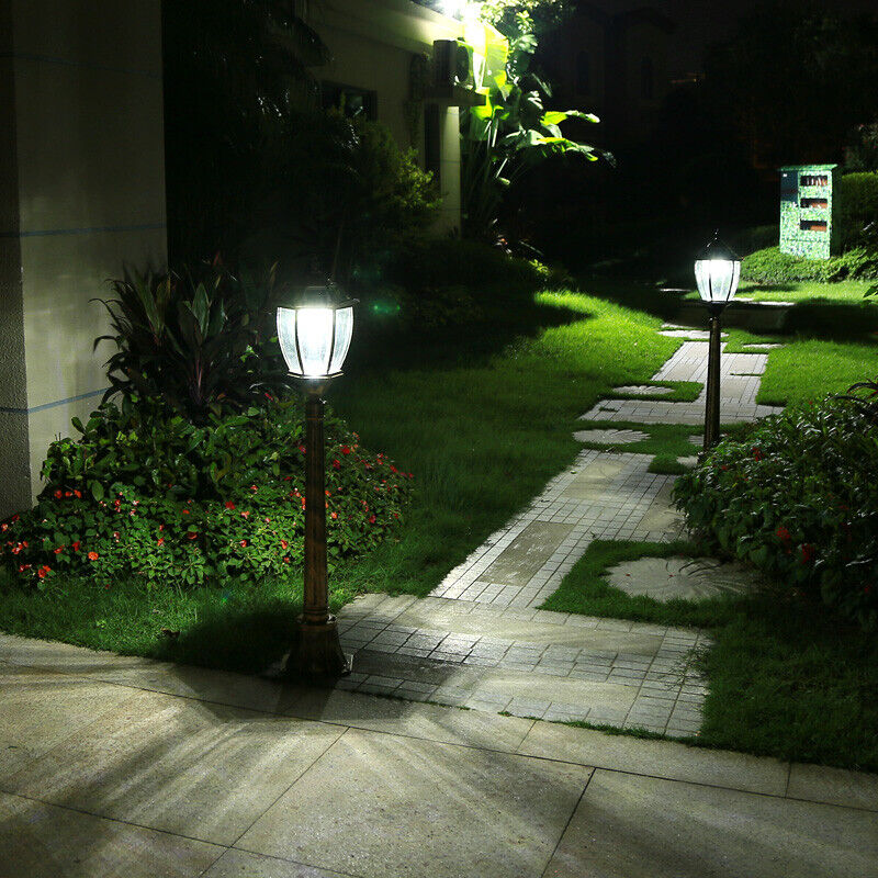 Foto 7 di 10