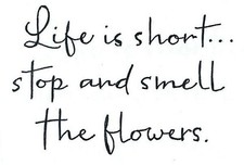 Life Is Short Text NORTHWOODS Wood Mounted Rubber Stamp NEW CC10900