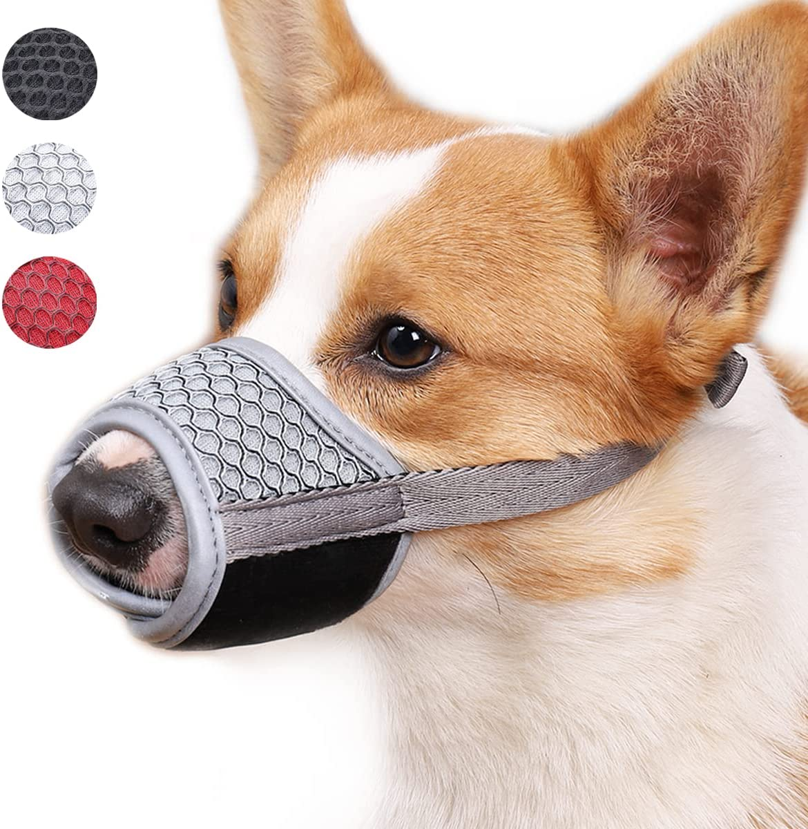 dog muzzle for dachshund