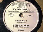 WESTERN TV Radio SHOW SOUND EFFECT Record Speedy Q Cattle Branding Dehornin 7881 — photo 1