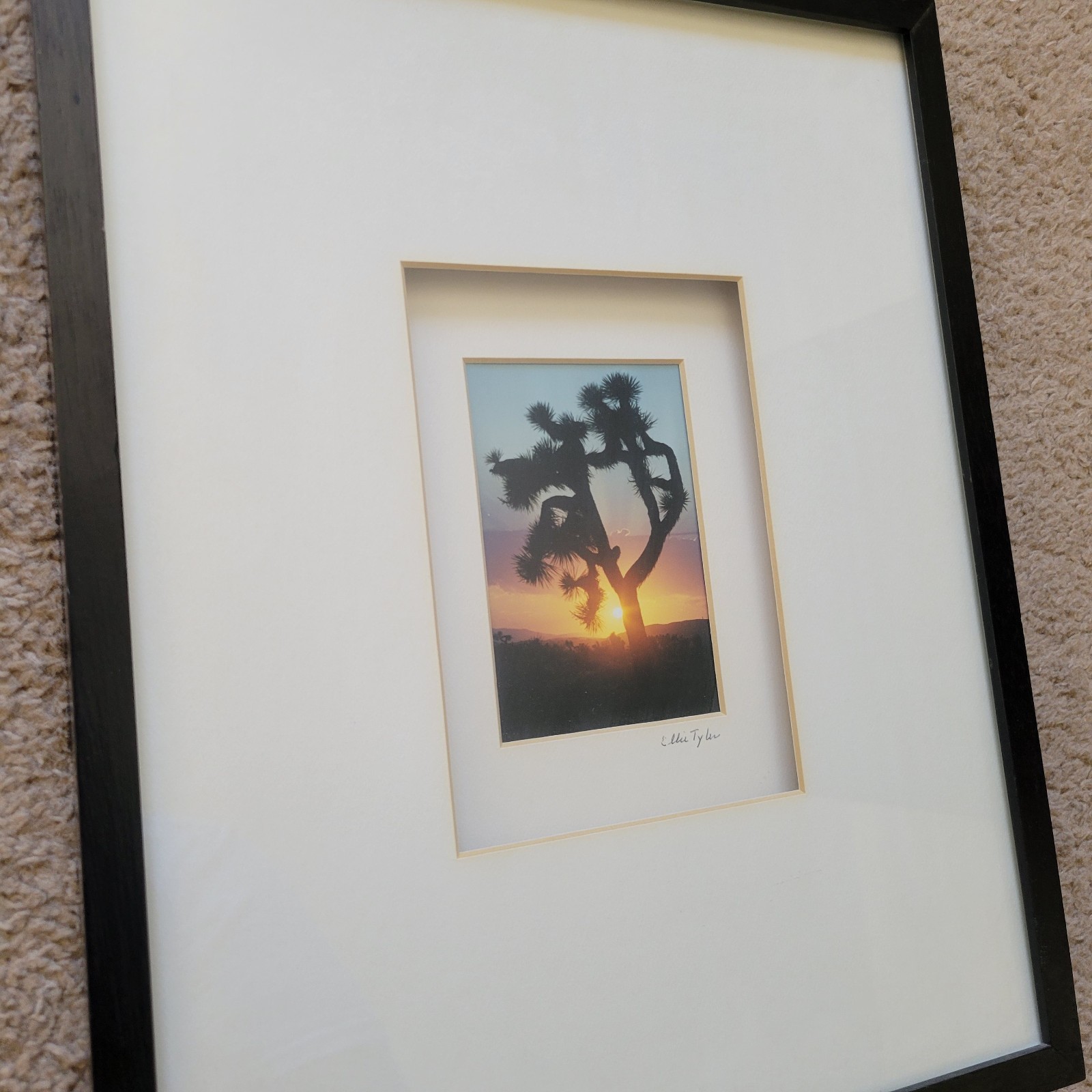 Picture 2 of 6