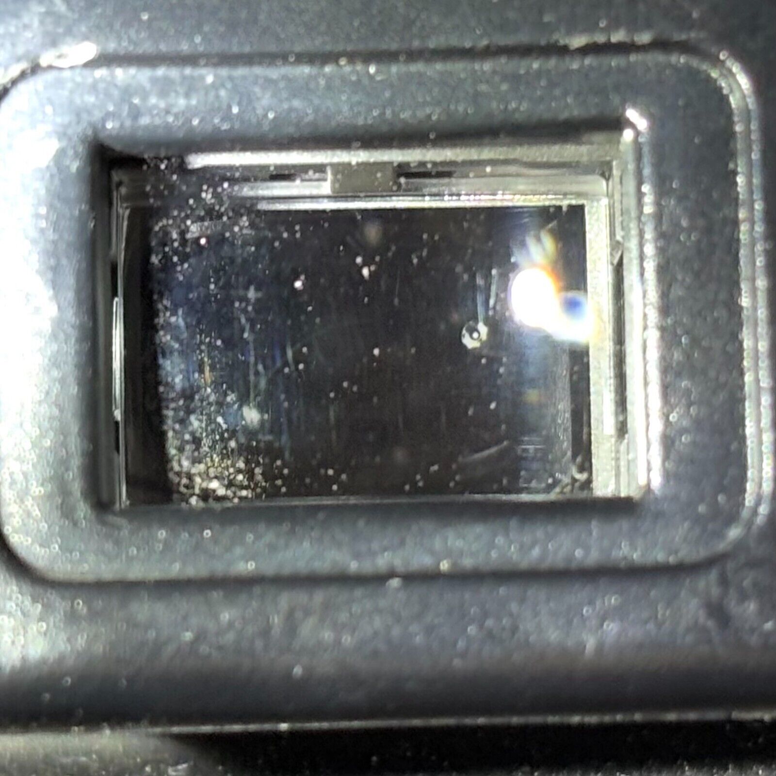 Picture 11 of 12