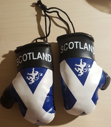 High Quality Country Flag MINI BOXING GLOVES - Rear View Mirror Gloves - New - Picture 111 of 134