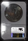1887 P Morgan Dollar $1 - NGC MS64 - Monster Toned Rainbow Rev • (WOW!!!!)  #154