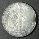 2002 American Silver Eagle 1oz Bullion Coin