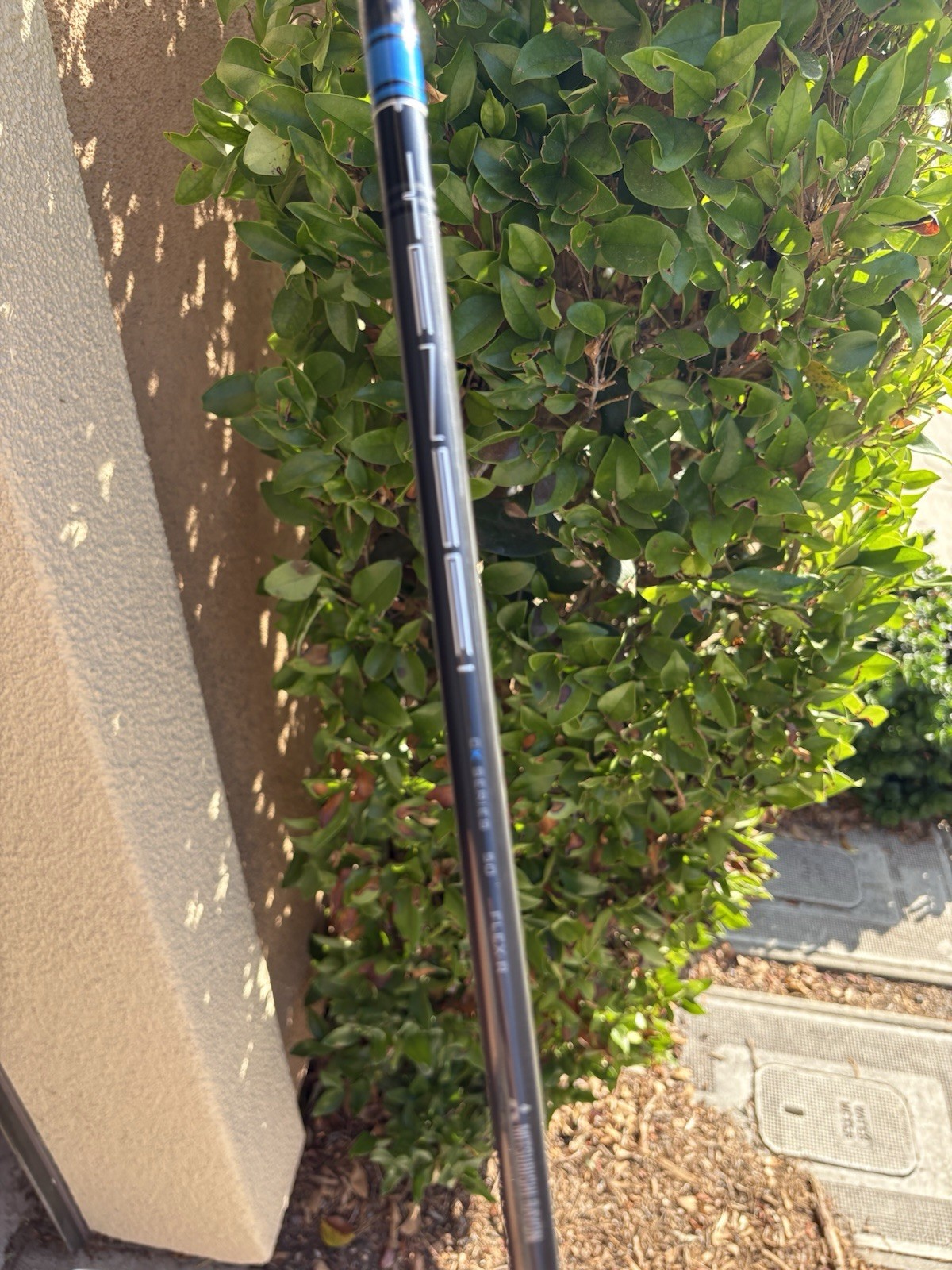 Picture 6 of 12