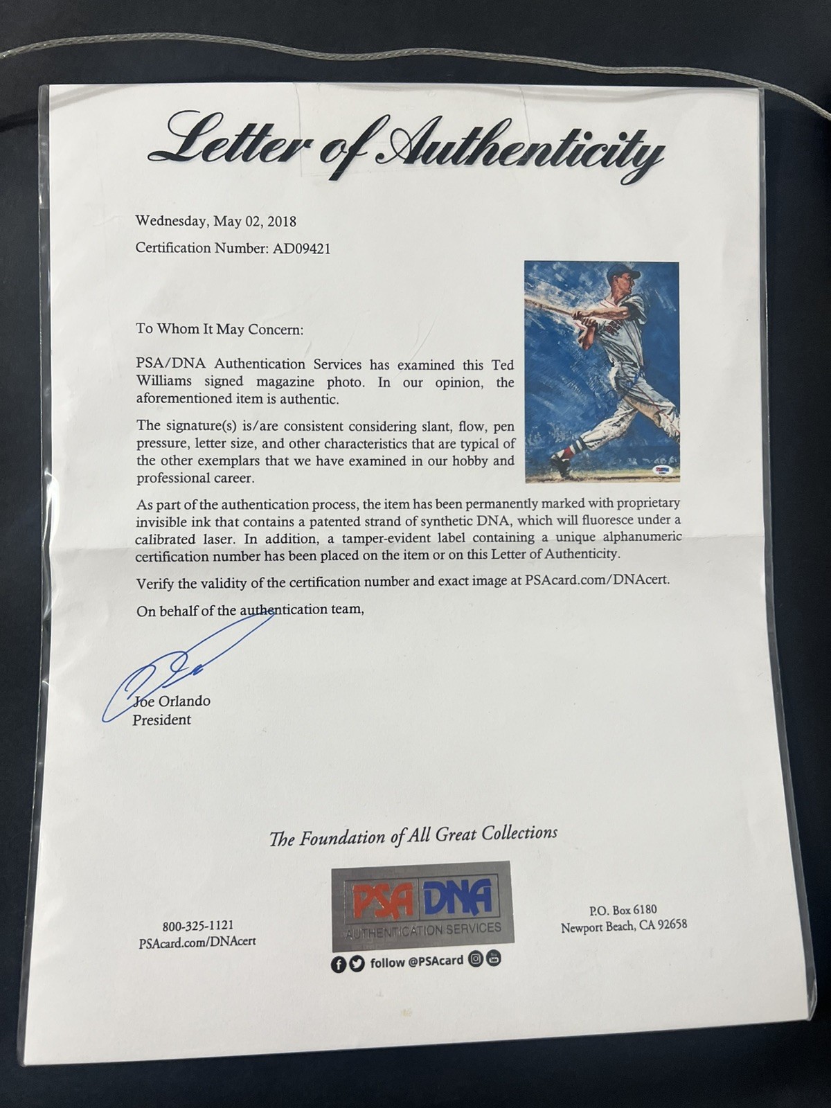 Ted Williams 17"x16.5" Autograph PSA/DNA Framed Photo w/ Button and Stats view 5