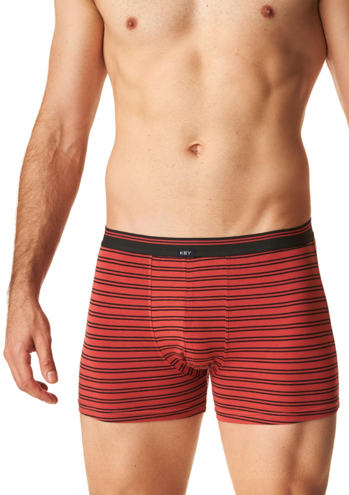 5904765679325 Bokserki mskie klasyczne czerwone w paski MXH 321 Key MXH 321 B24 5090₽
