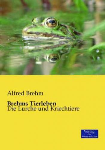 Thumbnail - Brehms Tierleben Die Lurche Und Kriechtiere 2862