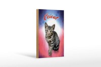 Holzschild Katze 18X12 Cm Ocicat Wanddeko Holz Deko Schild