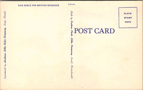 VTG. Linen Postcard St. Petersburg, Permanent Inhabitants of Sunny Florida Beach - Picture 2 of 2