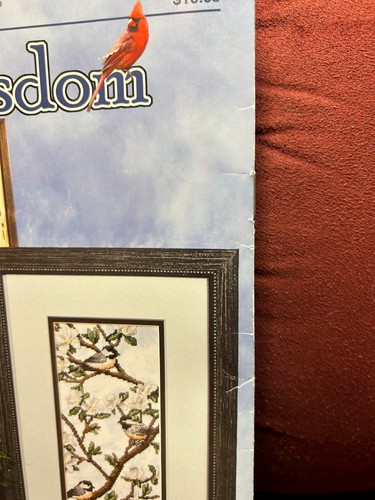STONEY CREEK LEAFLETS & MAGAZINES YOU PICK New Stock Pre-Owned/Good Intact - Picture 298 of 768