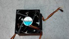 Fan Globe S011388 12M-3M    *Tested*