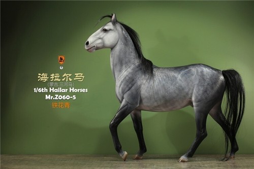 1/6 Scale Mr.Z Hailar Horses Mr.Z0605 Cyan Animal Figure Resin H35CM(13.8in)