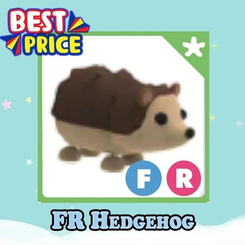 FR Hedgehog - Adopt right now