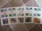 Japan Stamp First Day Cover Insect Series 5 Covers (昆虫シリーズ) 1986～1987