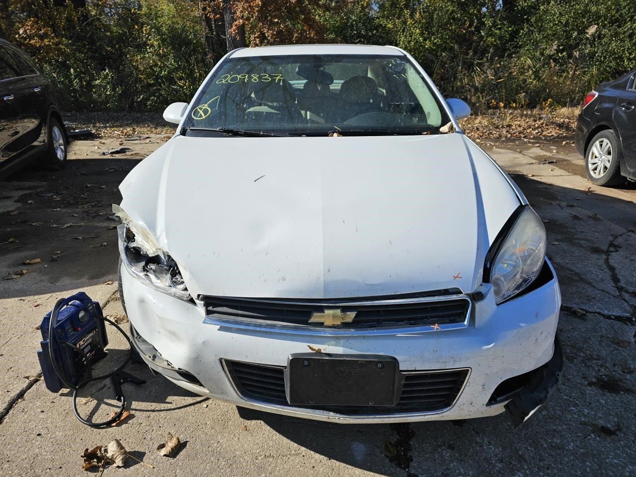 Picture 3