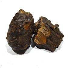 510 g Genuine 2 pcs  Aetoxylon Oudh Agarwood Ornament from Kalimantan Indonesia
