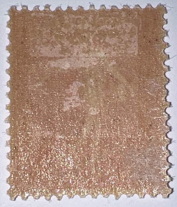 Picture 7 of 7
