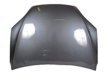 Capó Tesla Model X 2019 25165863