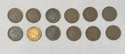 Lot of (12) Indian Head Pennies - All 1800s - Average Grades