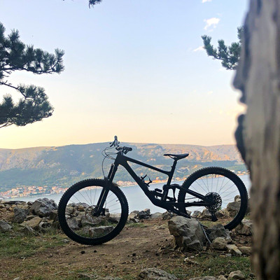 Specialized Enduro Comp 2021 29 Zoll Carbon L Vollfederung Schwarz