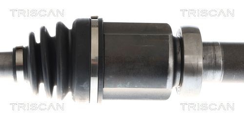 Triscan Dichtungssatz, Zylinderkopf 598-5576 FüR CitroËN Peugeot-image