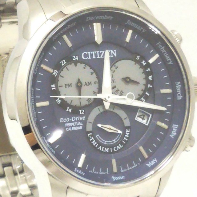 Citizen Perpetual E870-S104114 Men's 