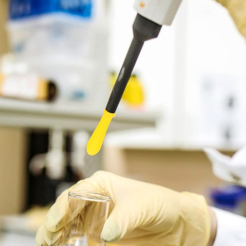 5 PIEZAS Punta de Pipeta Graduada Cuentagotas Silicona Tapas Puntas Vidrio - Imagen 2 de 12