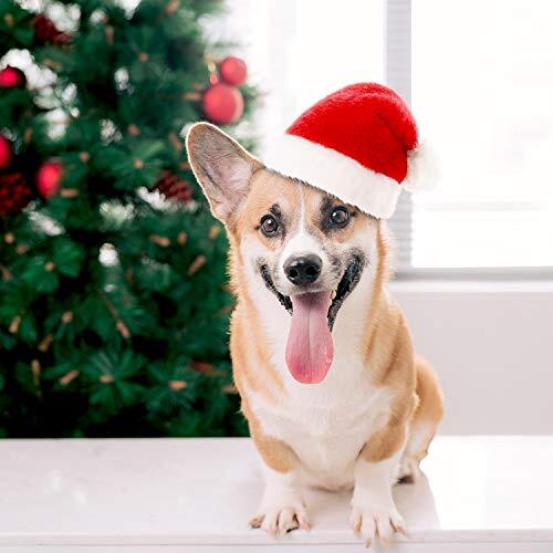 4 Pieces Dog Santa Hat Christmas Pet Hats Pet Costumes for Dogs Cats Christmas - Picture 8 of 8