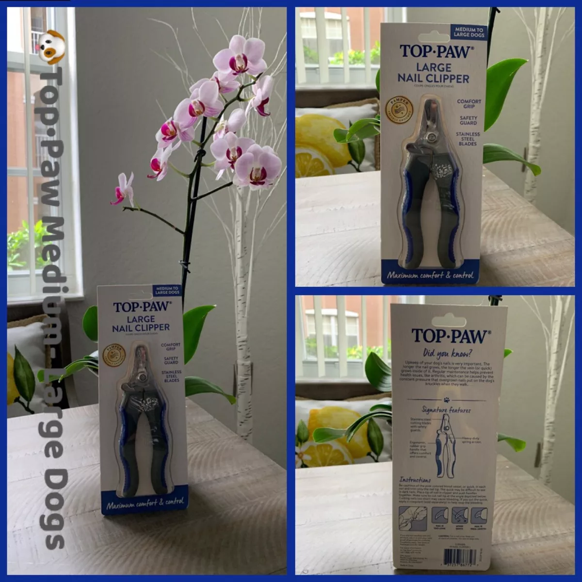 Top paw best sale safety nail clipper