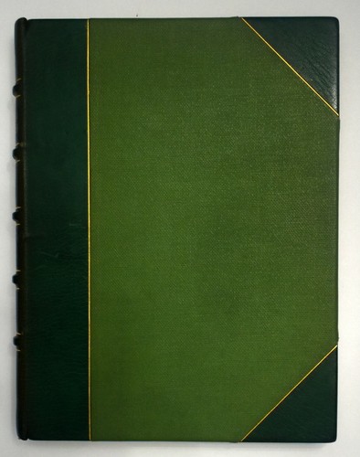 THE CRICKET ON THE HEARTH By CHARLES DICKENS GREEN LEATHER PROFUSELY ILLUSTRATED - Picture 5 of 12