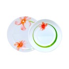 Soup Plate & Dessert Plate Luminarc Sweet Impression Glass 2pc Crockery Plates