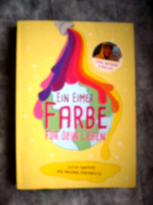 Ein Eimer Farbe für dein Leben  24/7 mit twenty4tim DIYs  Challenges TikTok Buch