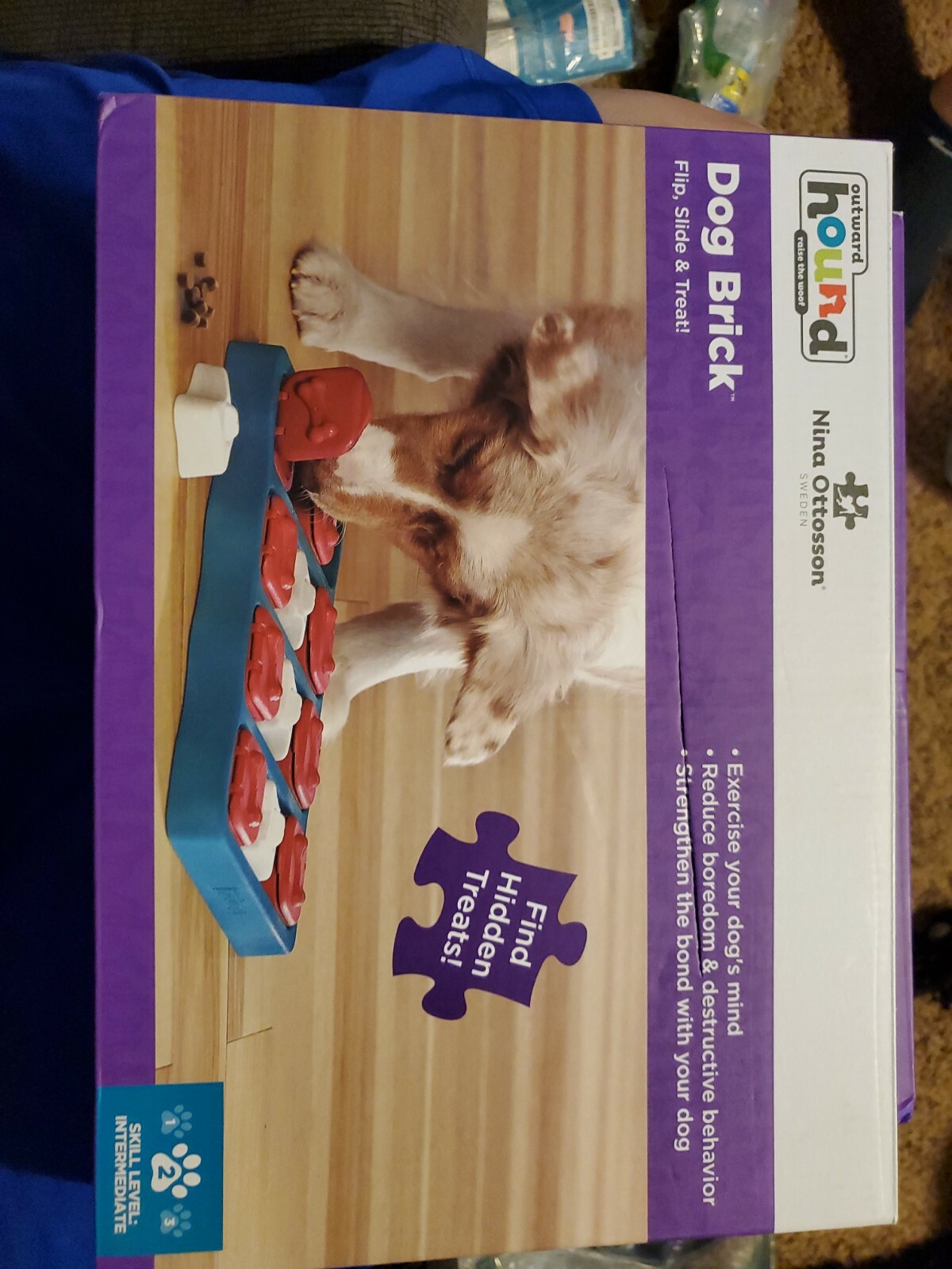 dog brick puzzle