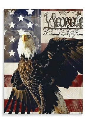 American Bald Eagle USA Flag Vintage Patriotic Art Poster