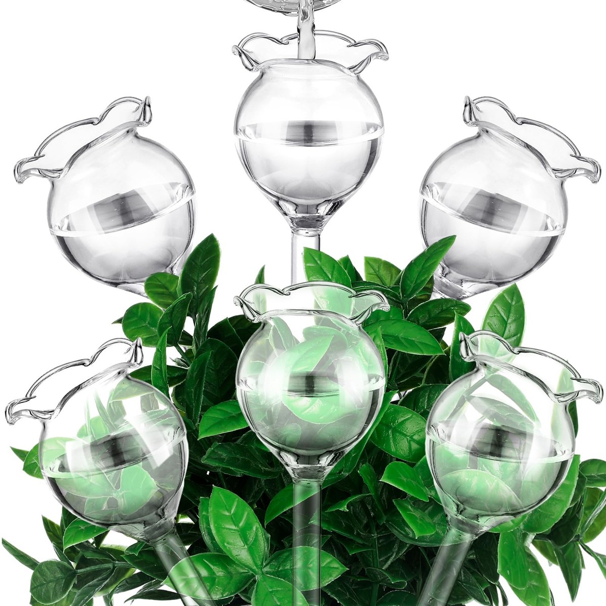 6 Pcs Self Watering Plant Globes Glass Cactus Insert Watering Devices  Automat... | eBay